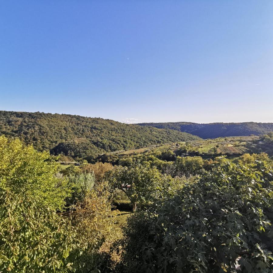 Apartma Zan Apartman Šmarje Kültér fotó